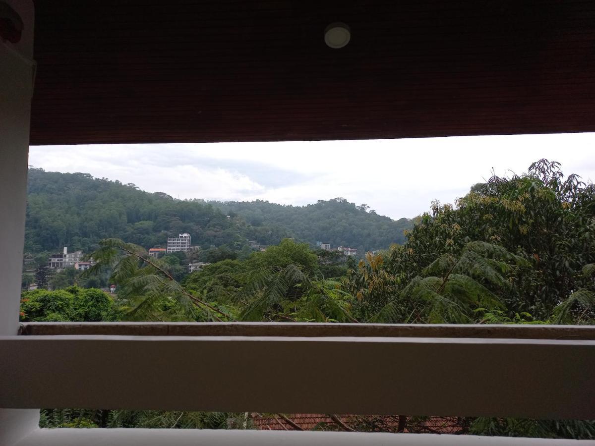 Lazy Bear Best Hostel In Kandy Ngoại thất bức ảnh