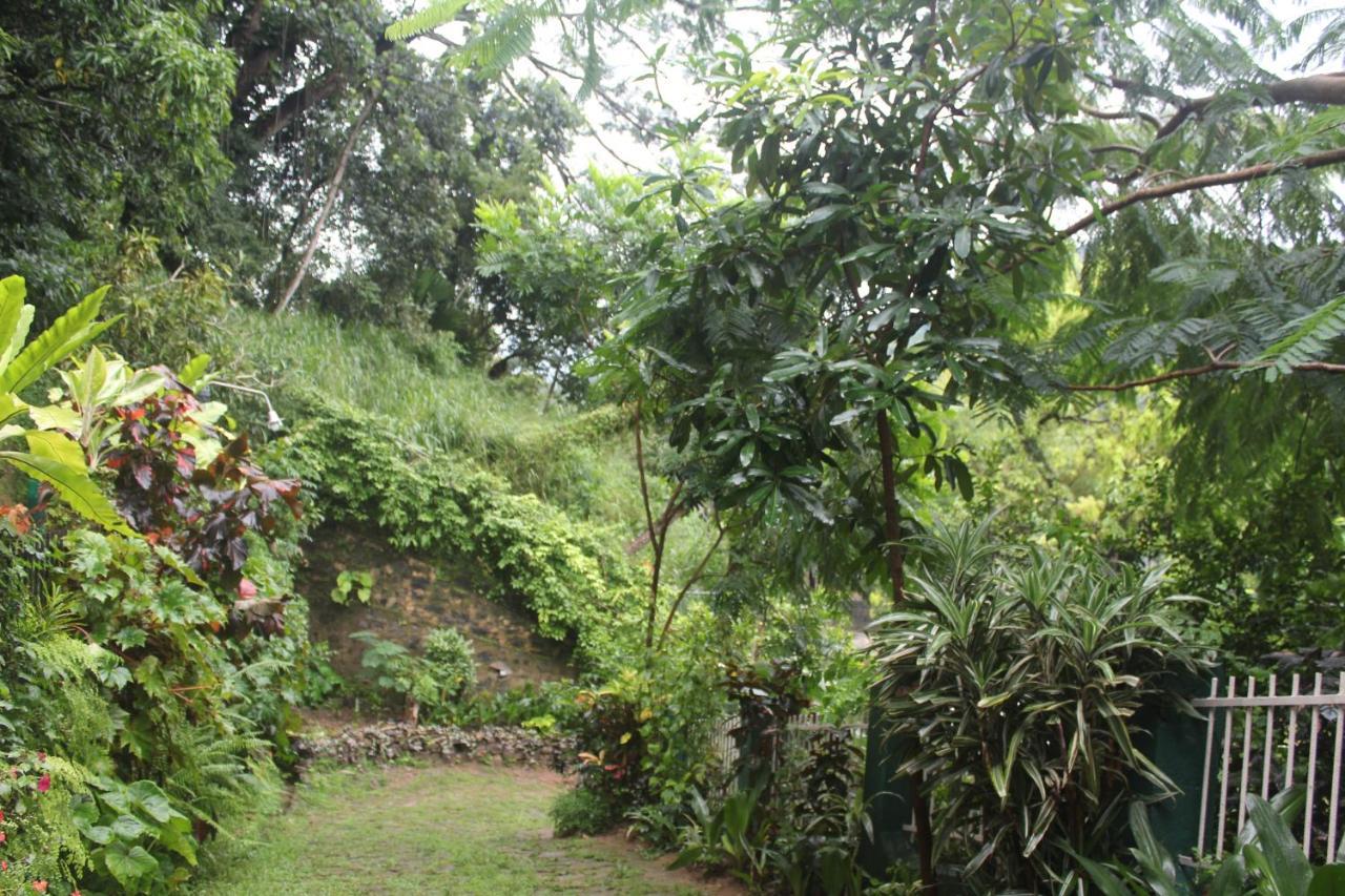 Lazy Bear Best Hostel In Kandy Ngoại thất bức ảnh