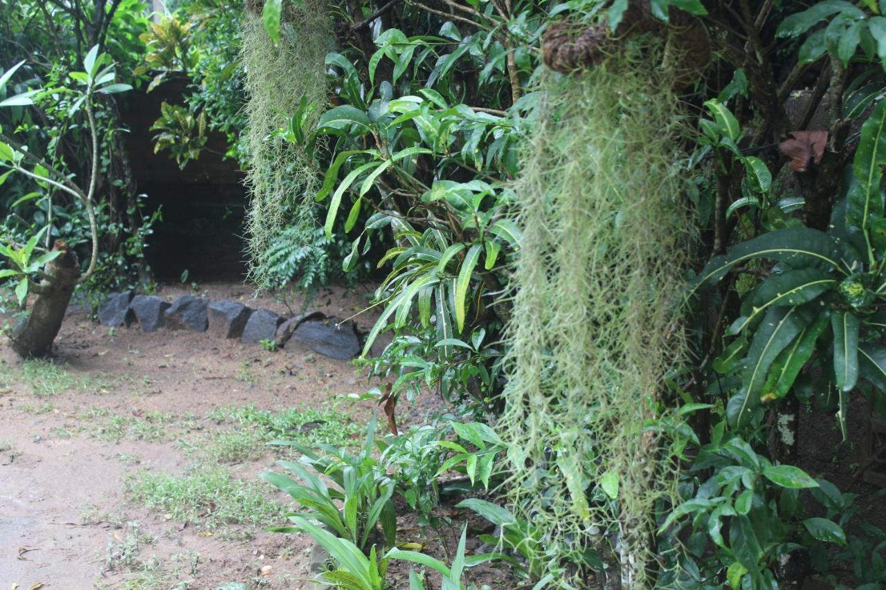 Lazy Bear Best Hostel In Kandy Ngoại thất bức ảnh