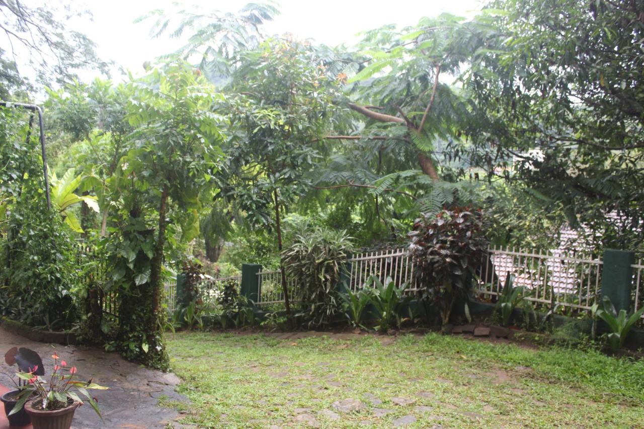Lazy Bear Best Hostel In Kandy Ngoại thất bức ảnh