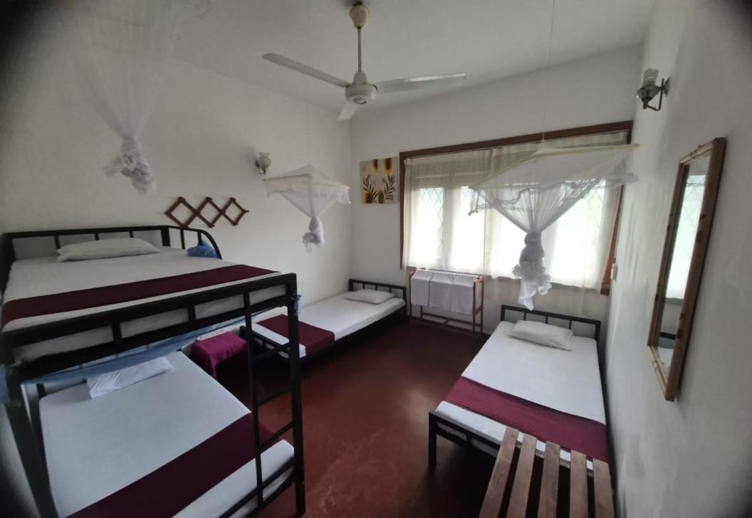Lazy Bear Best Hostel In Kandy Ngoại thất bức ảnh