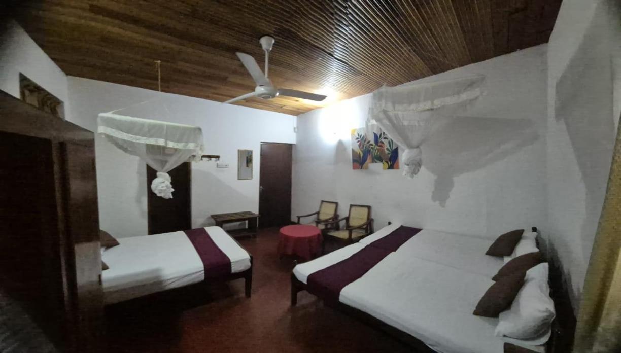 Lazy Bear Best Hostel In Kandy Ngoại thất bức ảnh