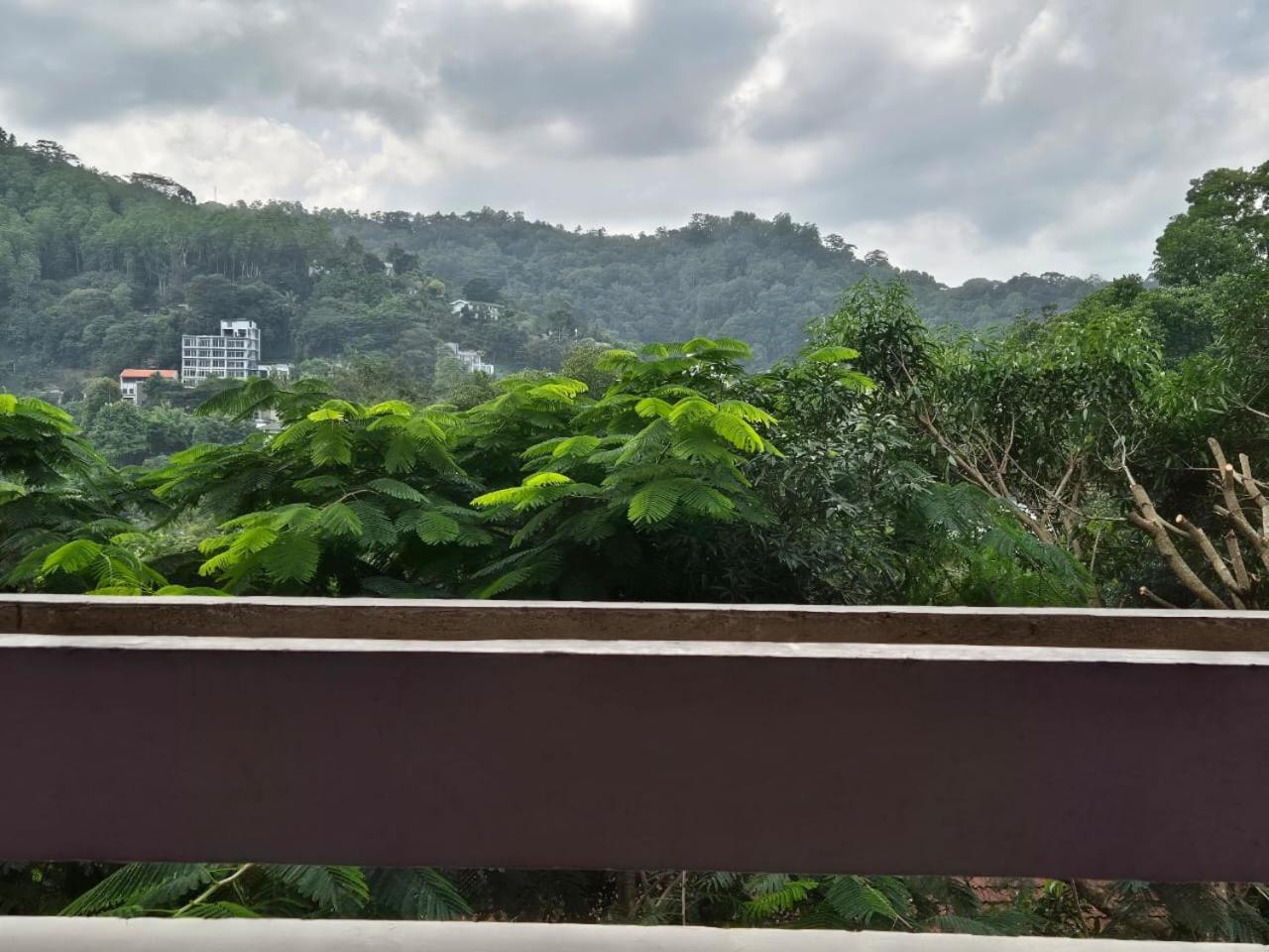 Lazy Bear Best Hostel In Kandy Ngoại thất bức ảnh