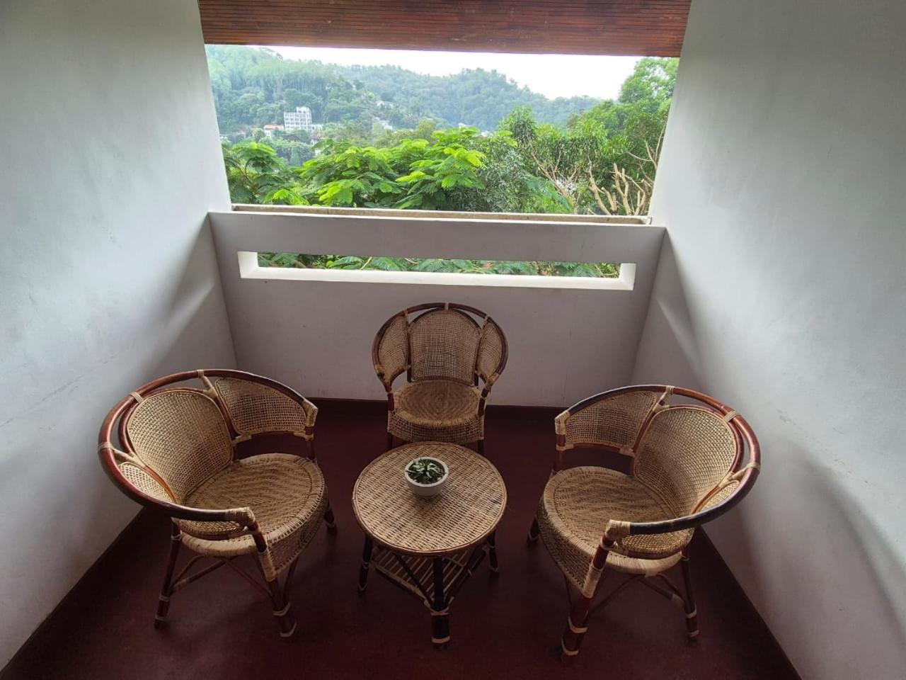 Lazy Bear Best Hostel In Kandy Ngoại thất bức ảnh