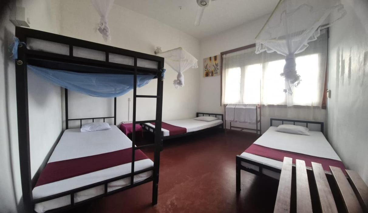 Lazy Bear Best Hostel In Kandy Ngoại thất bức ảnh