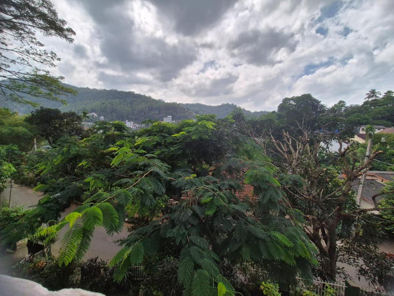 Lazy Bear Best Hostel In Kandy Ngoại thất bức ảnh